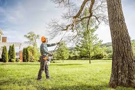  Mechanicville, NY Tree Removal and Landscaping Services Pros